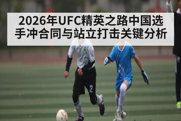 2026年UFC精英之路中国选手冲合同与站立打击关键分析